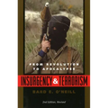 Insurgency and Terrorism: From Revolution to Apocalypse, Second Edition, Revised