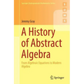 A History of Abstract Algebra: From Algebraic Equations to Modern Algebra