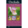Orchids of the North Woods