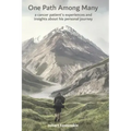 One Path Among Many: a cancer patient's experiences and insights about his personal journey