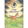 Jasmine Green Rescues: A Foal Called Storm