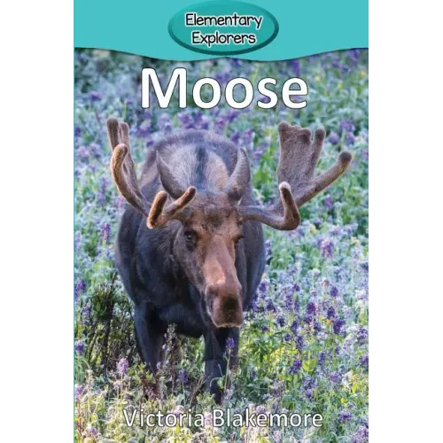 Moose