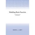 Modelling Brain Function: The World of Attractor Neural Networks