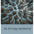 Funeral Guest Book (Hardcover): memory book, comments book, condolence book for funeral, remembrance, celebration of life, in loving memory funeral gu