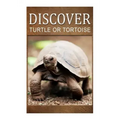 Turtle Or Tortoise - Discover: Early reader's wildlife photography book