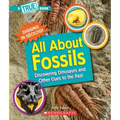 All about Fossils: Discovering Dinosaurs and Other Clues to the Past (a True Book: Digging in Geology)