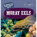 20 Things You Didn't Know about Moray Eels