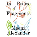 In Praise of Fragments