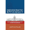 Democratic Efficiency: Inequality, Representation, and Public Policy Outputs in the United States and Worldwide