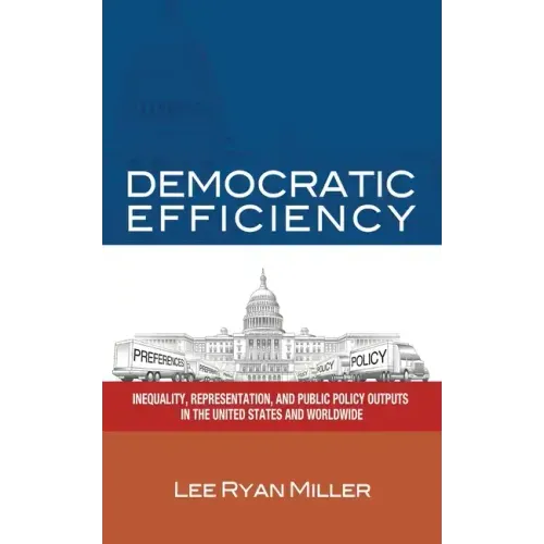 Democratic Efficiency: Inequality, Representation, and Public Policy Outputs in the United States and Worldwide