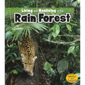 Living and Nonliving in the Rain Forest