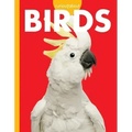 Curious about Birds