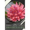 Bromeliads: Prodigy Petal, Plant Guide