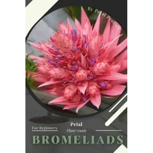 Bromeliads: Prodigy Petal, Plant Guide
