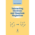 Interacting Electrons and Quantum Magnetism