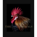 Estela de Castro: The Animals