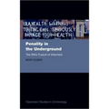 Penality in the Underground: The Ira's Pursuit of Informers