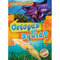 Octopus or Squid?