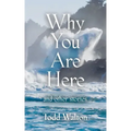 Why You Are Here: and other stories