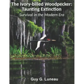 The Ivory-billed Woodpecker: Taunting Extinction: Survival in the Modern Era