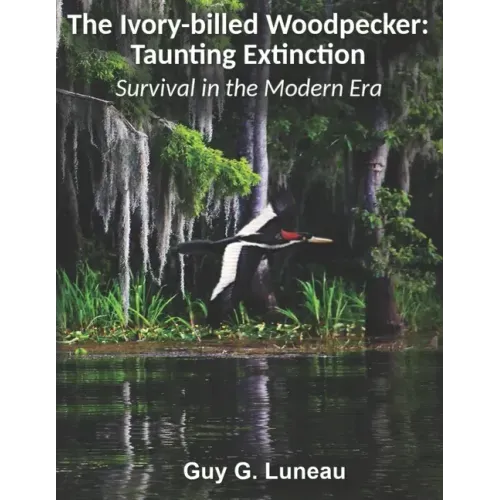 The Ivory-billed Woodpecker: Taunting Extinction: Survival in the Modern Era