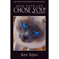 How Your Cat Chose You