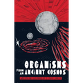 Organisms from an Ancient Cosmos