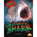 Great White Shark