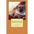 Missing my dog, My best friend: Ginger: The emotions felt after: Death of a dog