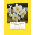 Daffodils, Narcissus and How To Grow Them: Hardy Plants For Cut Flowers With a Guide To Varieties of Daffodils and Narcissus
