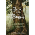 A Book Written For Angels: An interpretation of Swedenborg's "The Worship and Love of God"