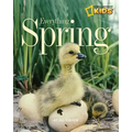 Everything Spring