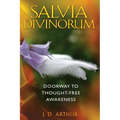 Salvia Divinorum: Doorway to Thought-Free Awareness