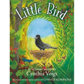 Little Bird