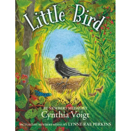 Little Bird