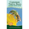 Common Native Bees of the Eastern United States: Your Way to Easily Identify Bees and Look-Alikes