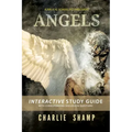 Angels Workbook: A Biblical School of Living Light
