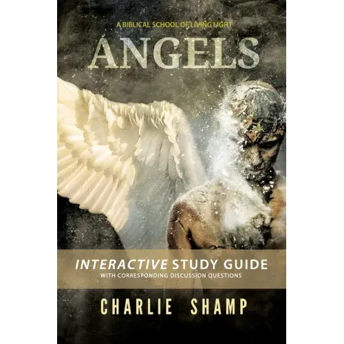 Angels Workbook: A Biblical School of Living Light