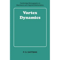 Vortex Dynamics