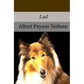 Lad: A Dog
