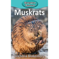 Muskrats