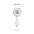 Anatomy