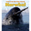 Narwhal