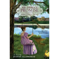 Mr. Darcy's Promise, Second Edition