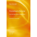 Prometheus's Remorse: From the Gift of Fire to Global Arson