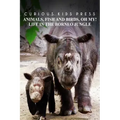 Animals, Fish and Birds, Oh My! Life In The Borneo Jungle - Curious Kids Press: Kids book about animals and wildlife, Children's books 4-6