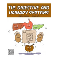 The Digestive and Urinary Systems