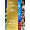 You're in America - Now What?: 7 Skillsets to Integrate with Ease and Joy