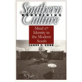 Redefining Southern Culture: Mind and Identity in the Modern South