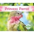 Princess Parrot